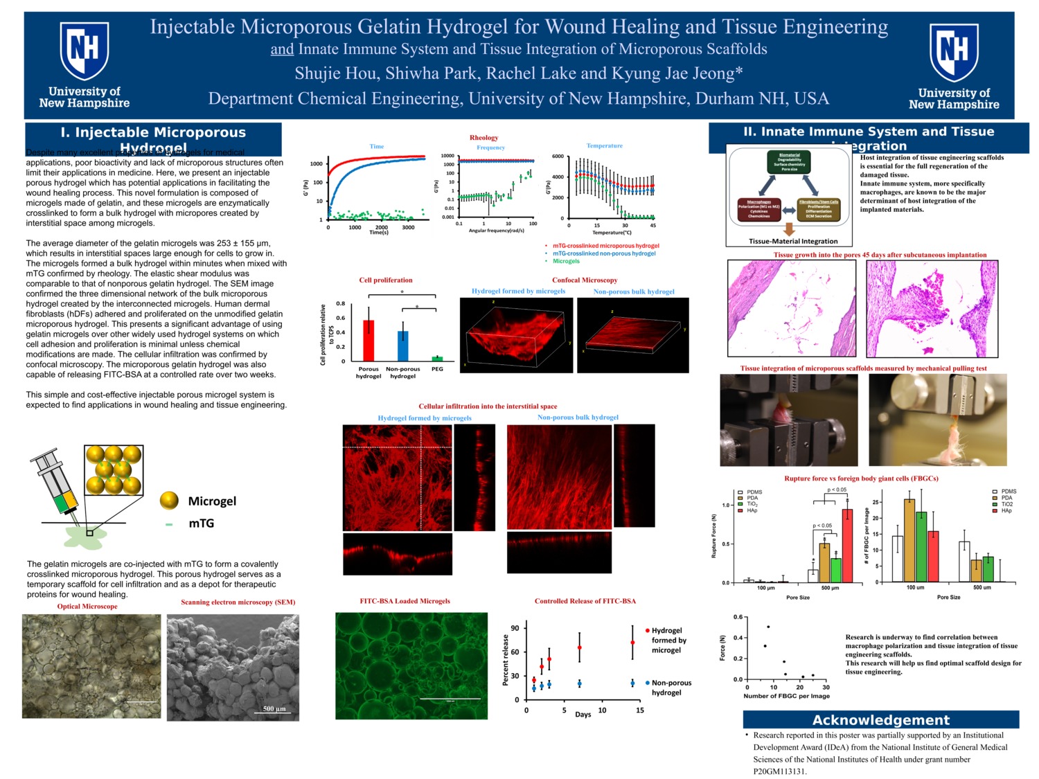 Injectable Microporous Gelatin Hydrogel For Wound Healing And Tissue Engineering by spark