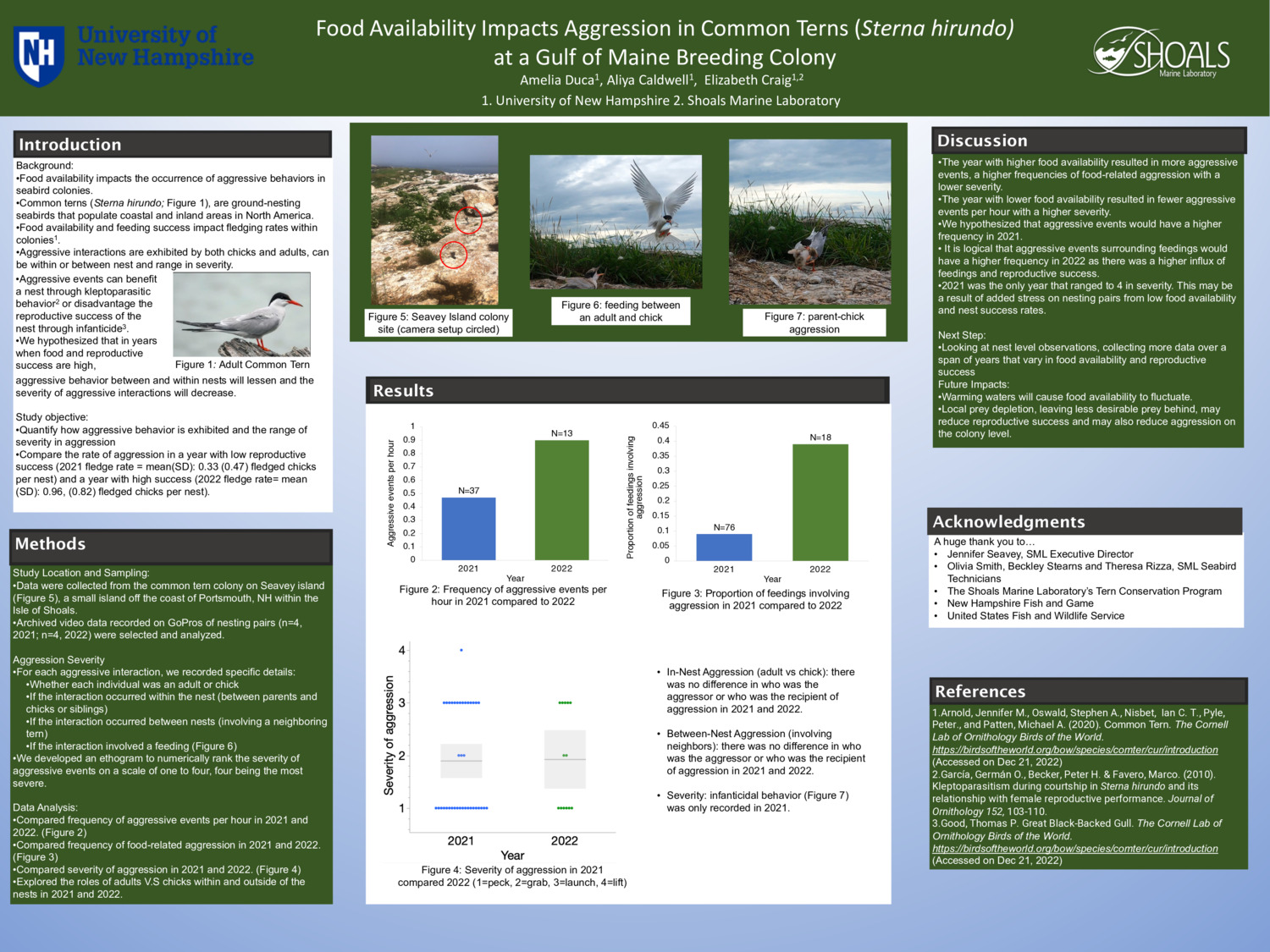 Food Availability Impacts Aggression In Common Terns (Sterna Hirundo) At A Gulf Of Maine Breeding Colony by aed1086