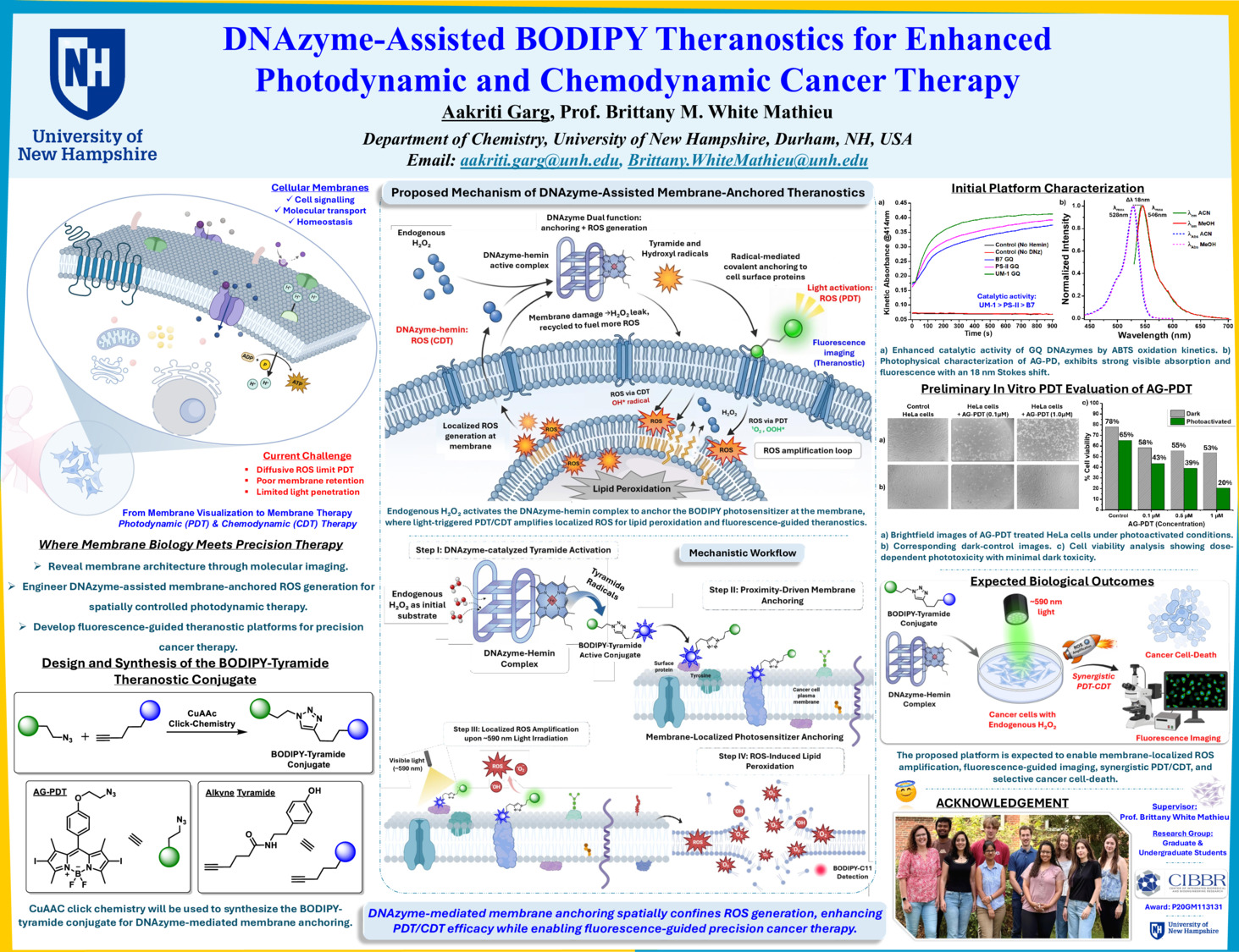 Dnazyme-Assisted Bodipy Theranostics For Enhanced Photodynamic And Chemodynamic Cancer Therapy by maakriti13