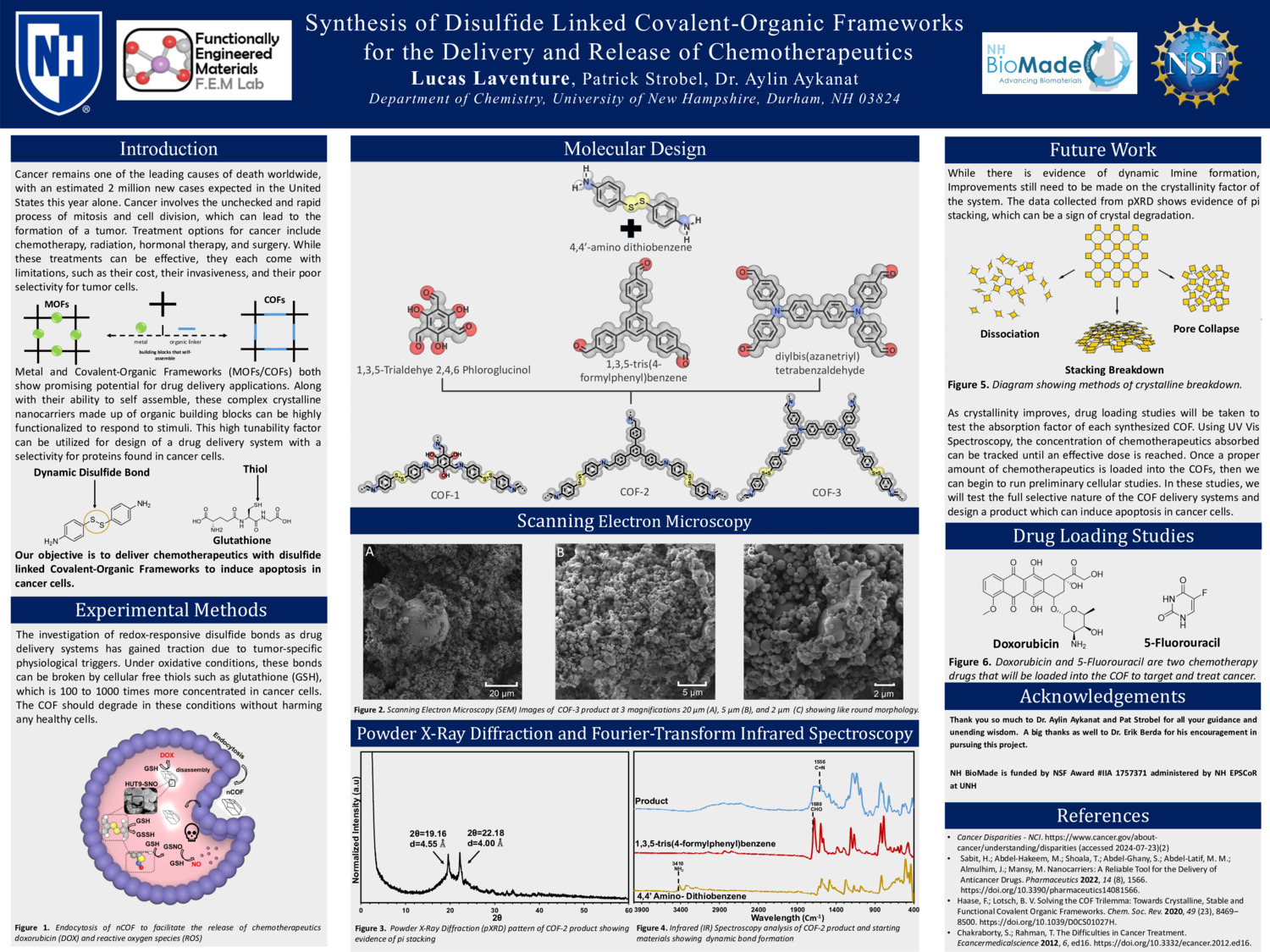 Synthesis Of Disulfide Linked Covalent-Organic Frameworks  For The Delivery And Release Of Chemotherapeutics by llaventure04