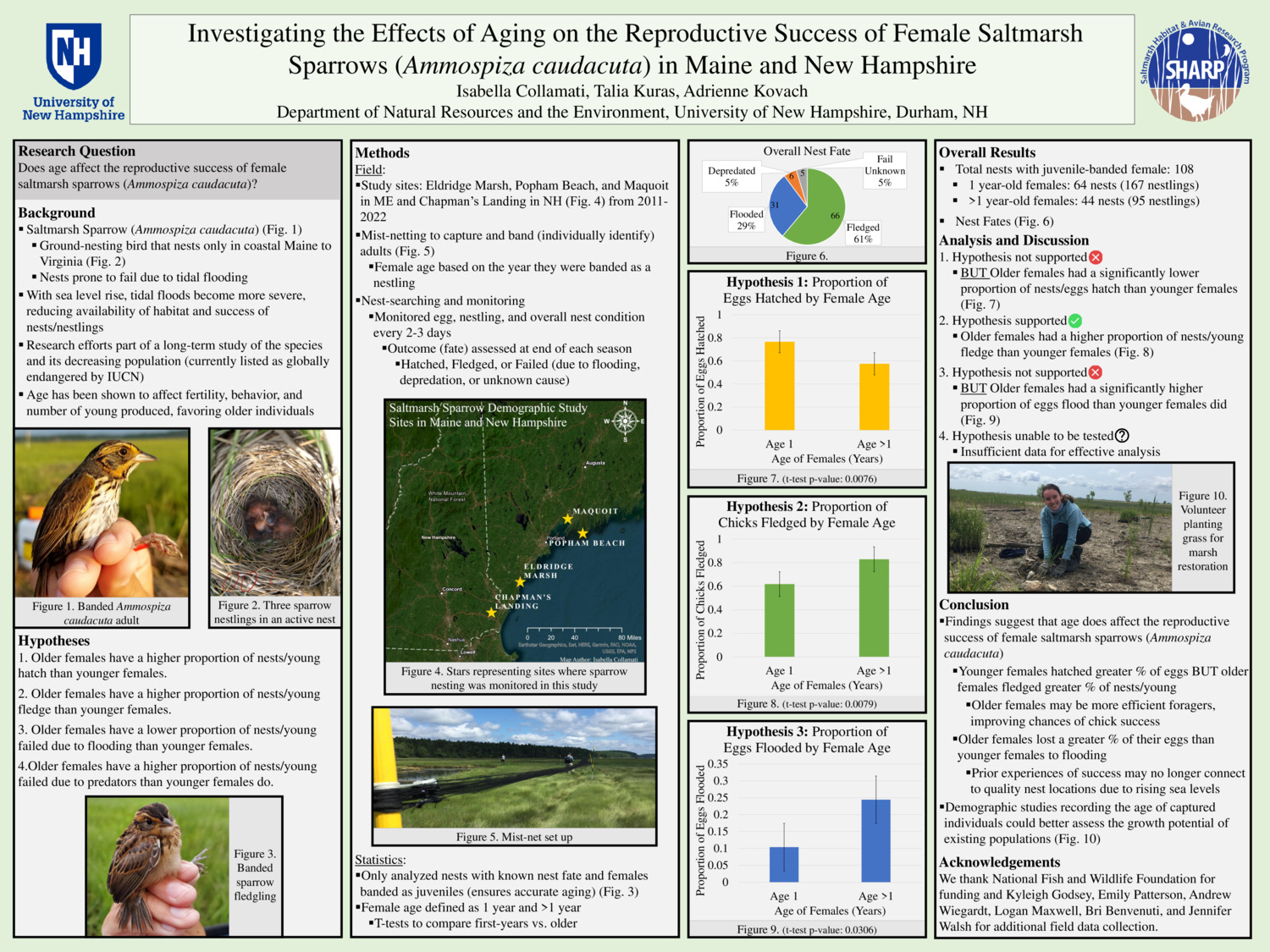 Investigating The Effects Of Aging On The Reproductive Success Of Female Saltmarsh Sparrows (Ammospiza Caudacuta) In Maine And New Hampshire by irc1012