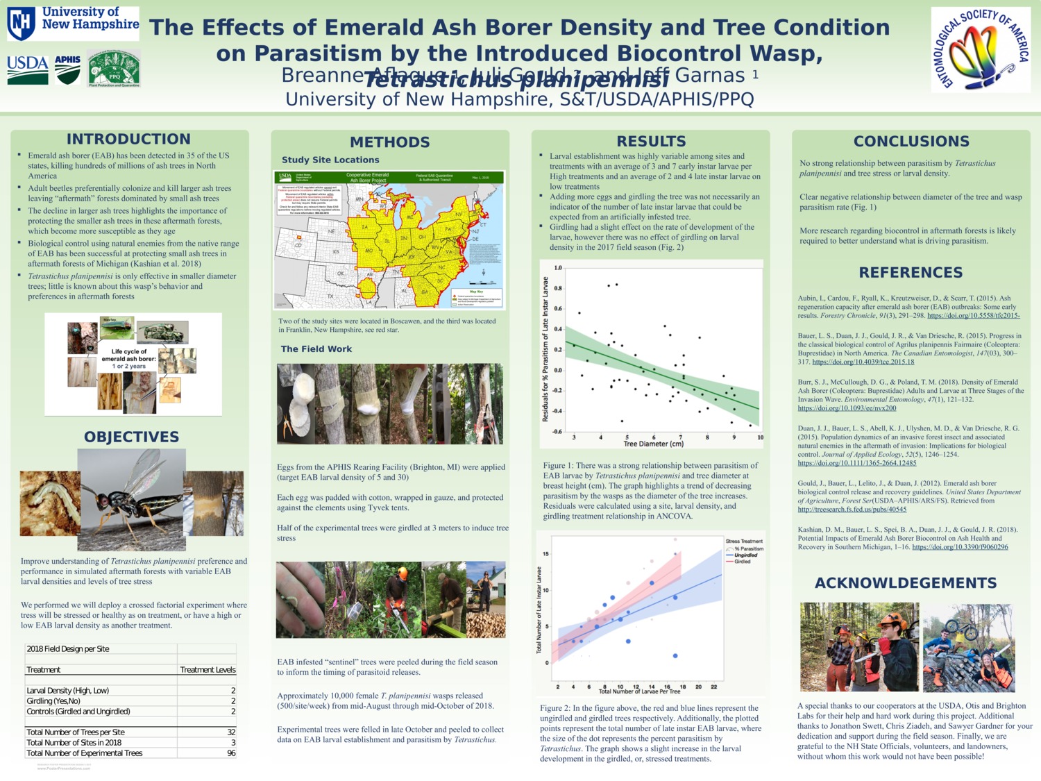 The Effects Of Emerald Ash Borer Density And Tree Condition On Parasitism By The Introduced Biocontrol Wasp, Tetrastichus Planipennisi  by bha1003