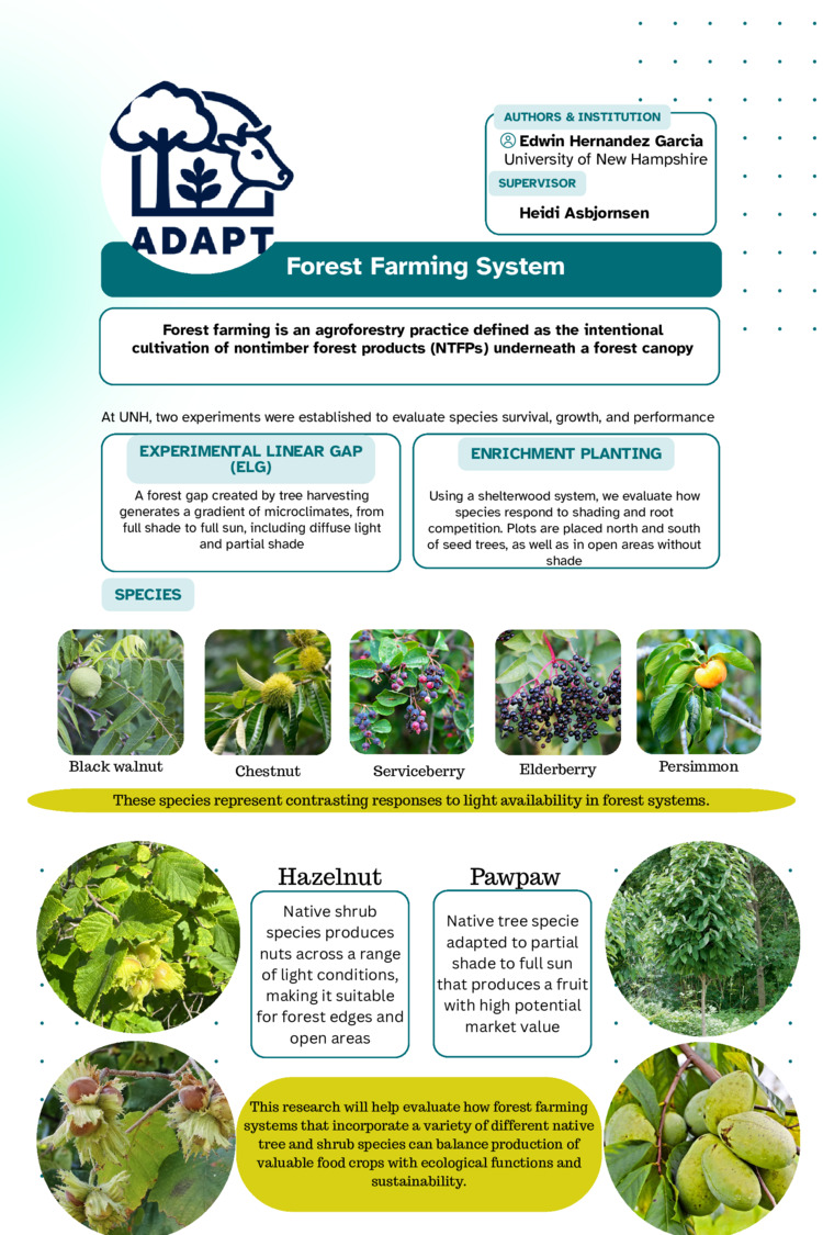 Forest Farming Agroforestry by LM_ADAPT
