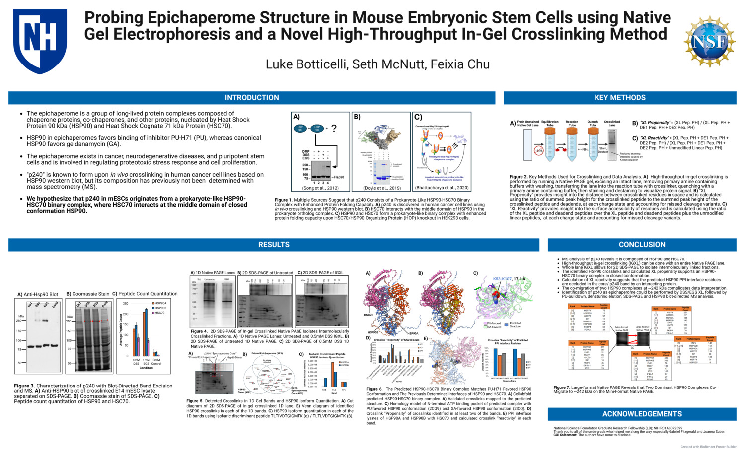 Probing Epichaperome Structure In Mouse Embryonic Stem Cells Using Native Gel Electrophoresis And A Novel High-Throughput In-Gel Crosslinking Method by lab1067