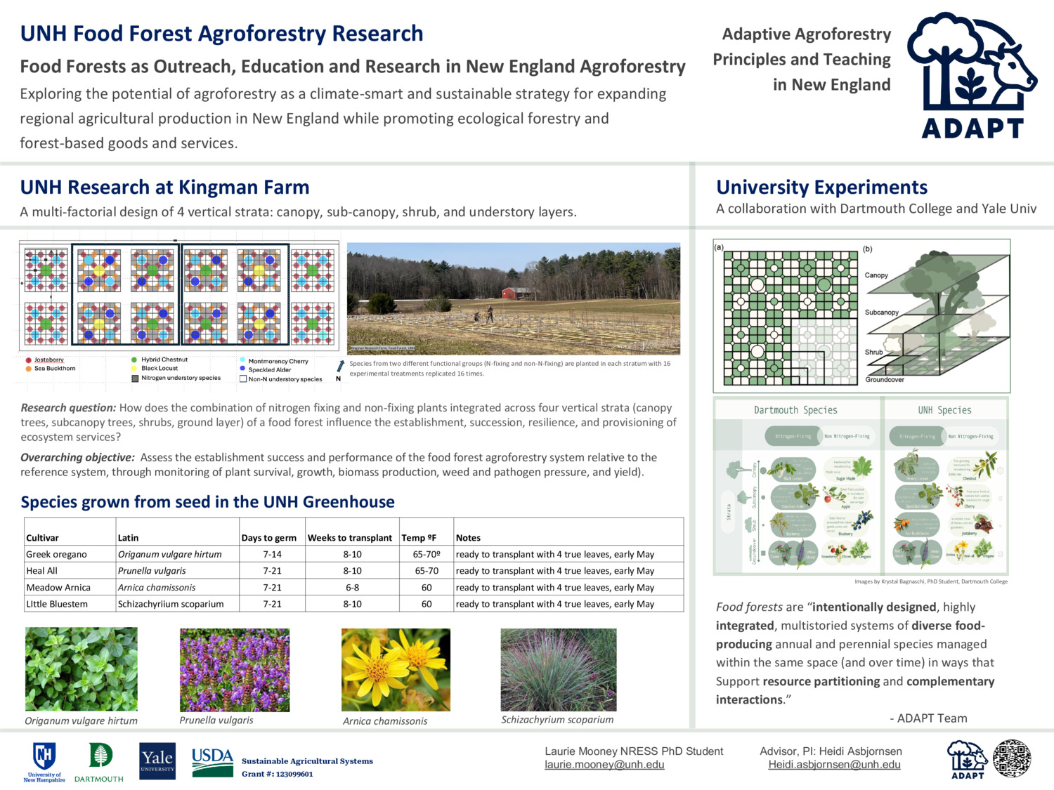 Food Forest Agroforestry by LM_ADAPT