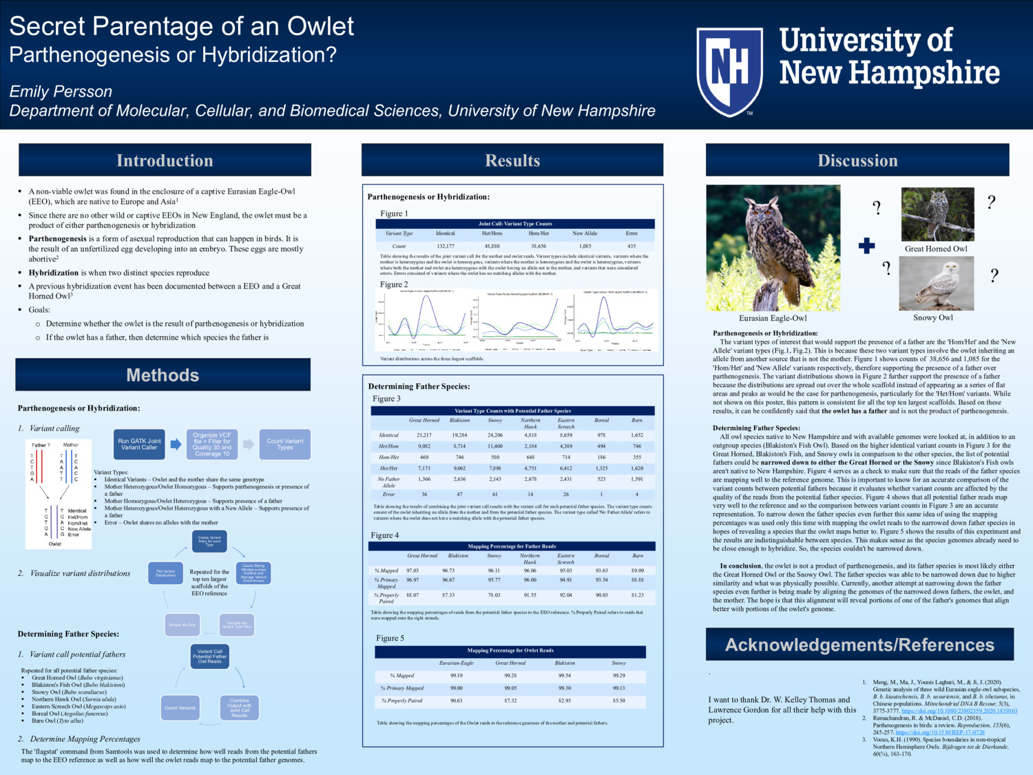 Secret Parentage Of An Owlet by erp1044