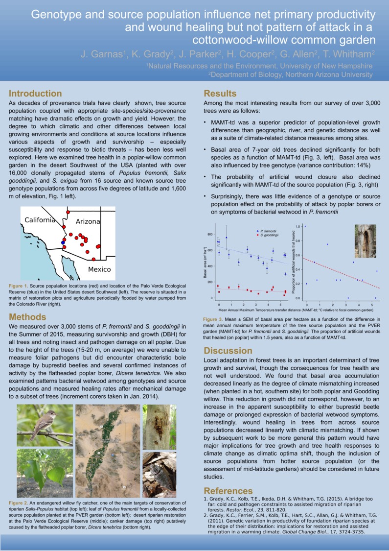 Genotype And Source Population Influence Net Primary Productivity And Wound Healing But Not Pattern Of Attack In A  Cottonwood-Willow Common Garden by jgarnas