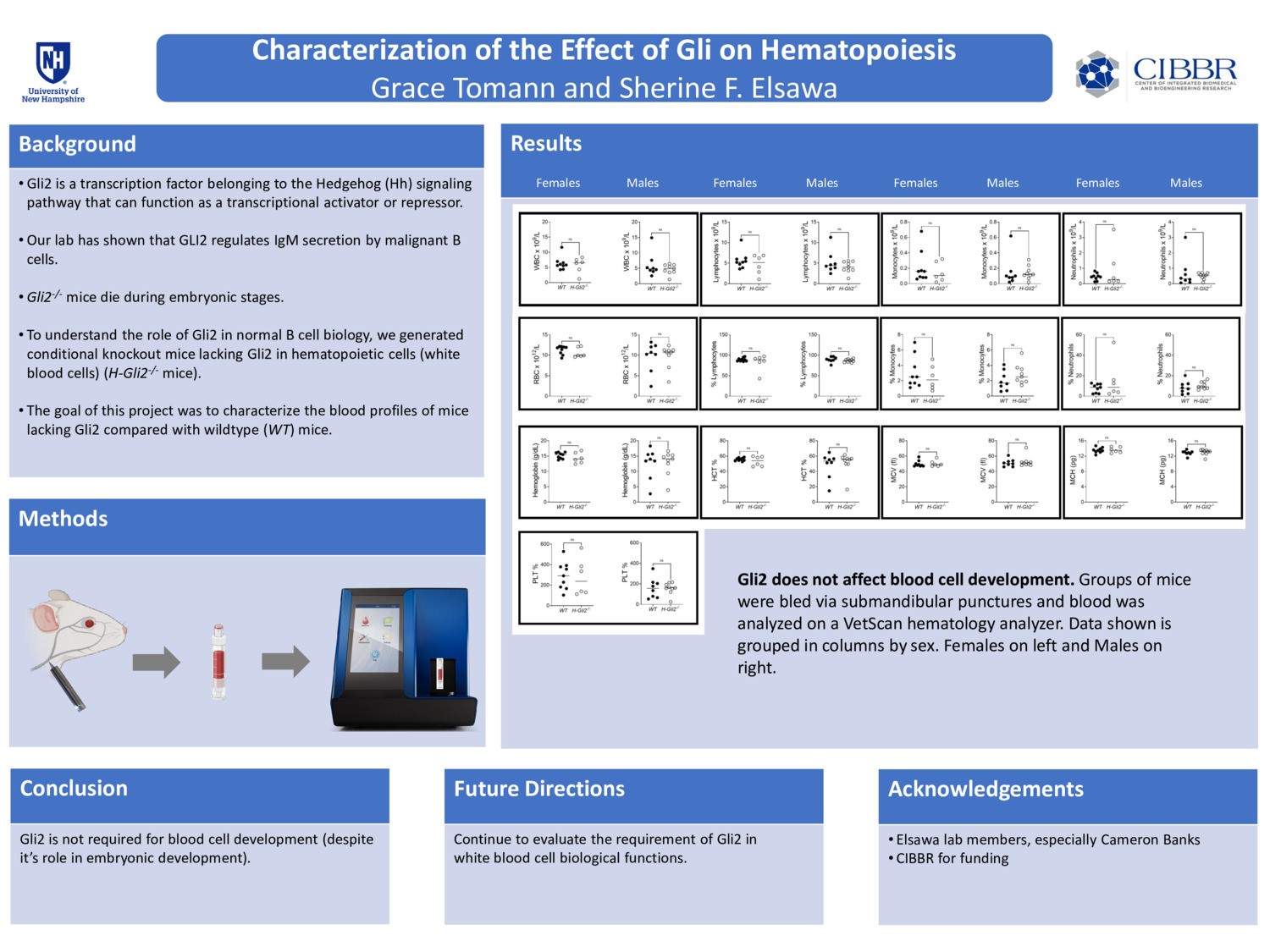 Characterization Of The Effect Of Gli Oh Hematopoiesis by gtomann