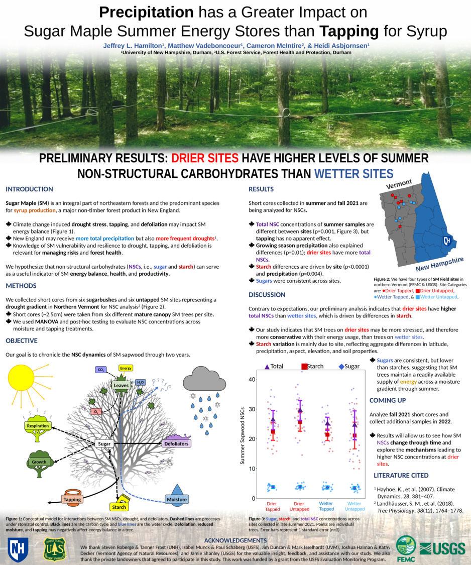 Precipitation Has A Greater Impact On Sugar Maple Summer Energy Stores Than Tapping For Syrup by jlh1114
