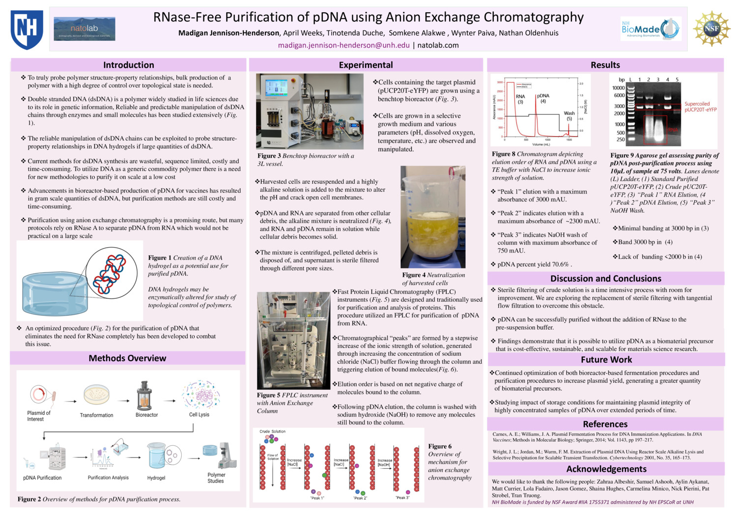 Rnase-Free Purification Of Pdna Using Anion Exchange Chromatography by mvj1002