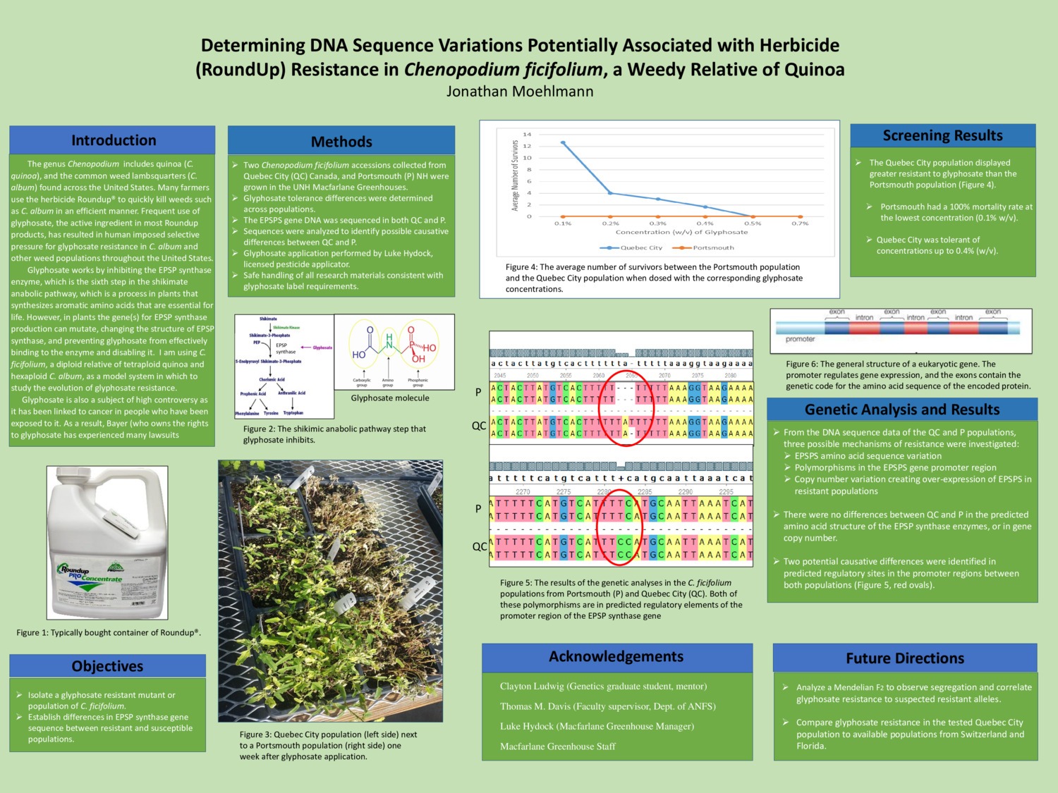 Determining Dna Sequence Variations Potentially Associated With Herbicide  (Roundup) Resistance In Chenopodium Ficifolium, A Weedy Relative Of Quinoa by jwm1060
