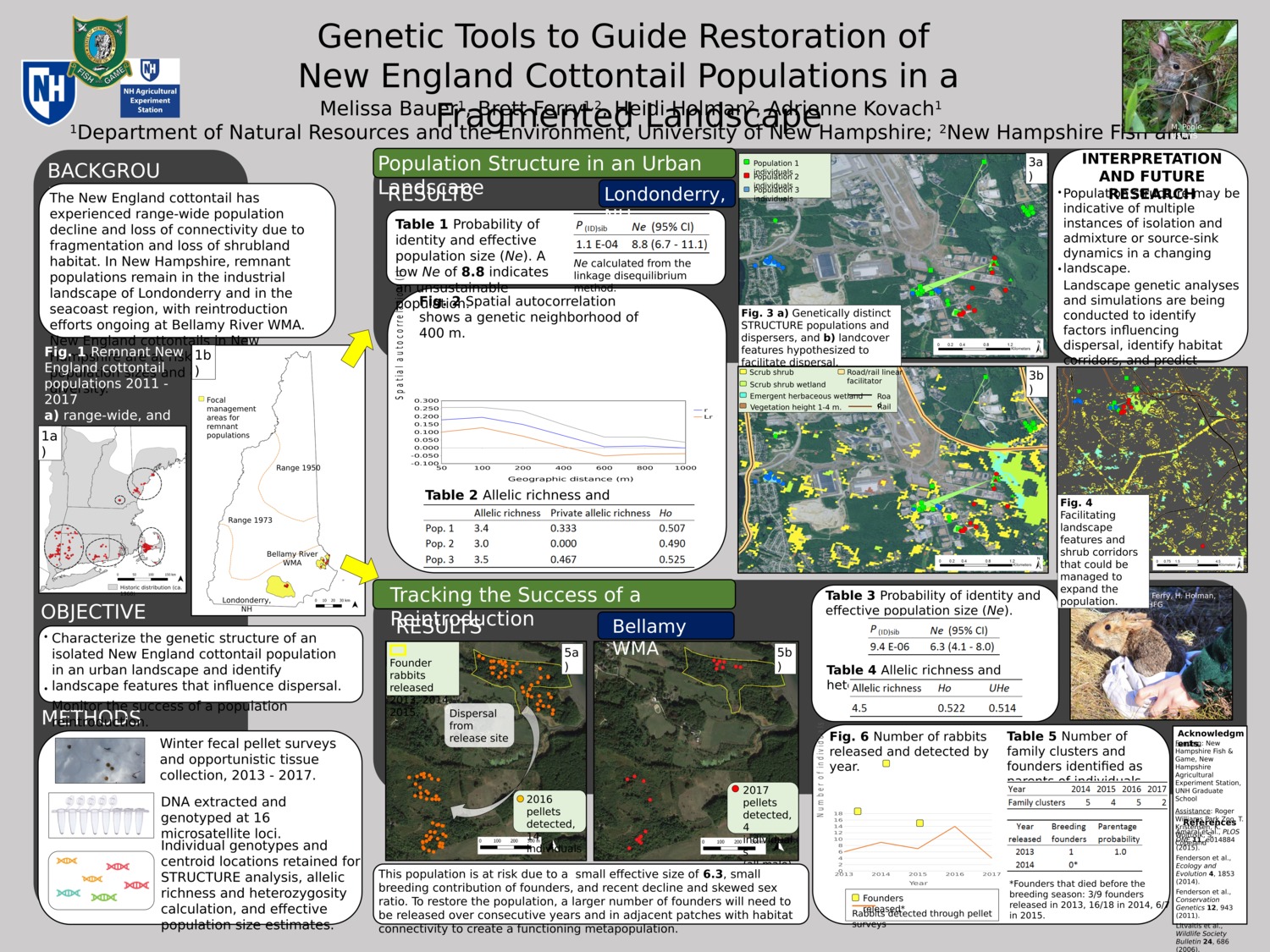 Genetic Tools To Guide Restoration Of New England Cottontail Populations In A Fragmented Landscape by akovach