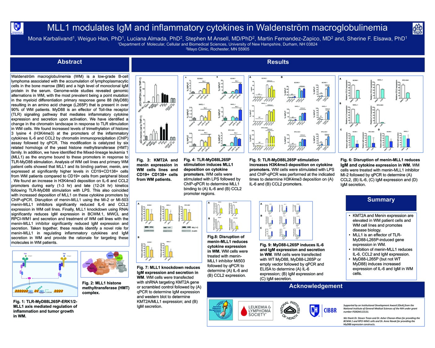 Mll1 Modulates Igm And Inflammatory Cytokines In Waldenström Macroglobulinemia by mk1158