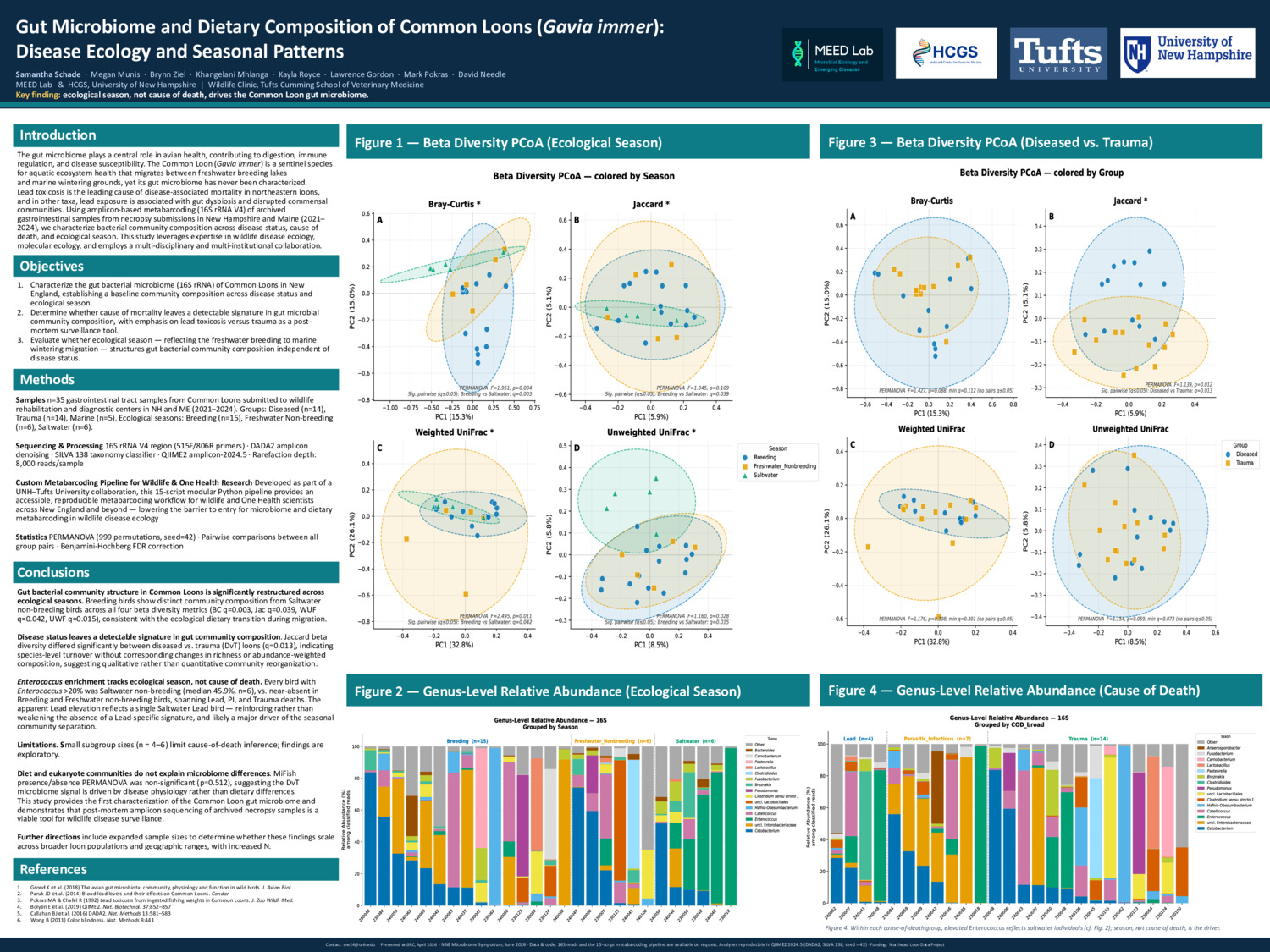 Gut Microbiome And Dietary Composition Of Common Loons (Gavia Immer): Disease Ecology And Seasonal Patterns by sne24