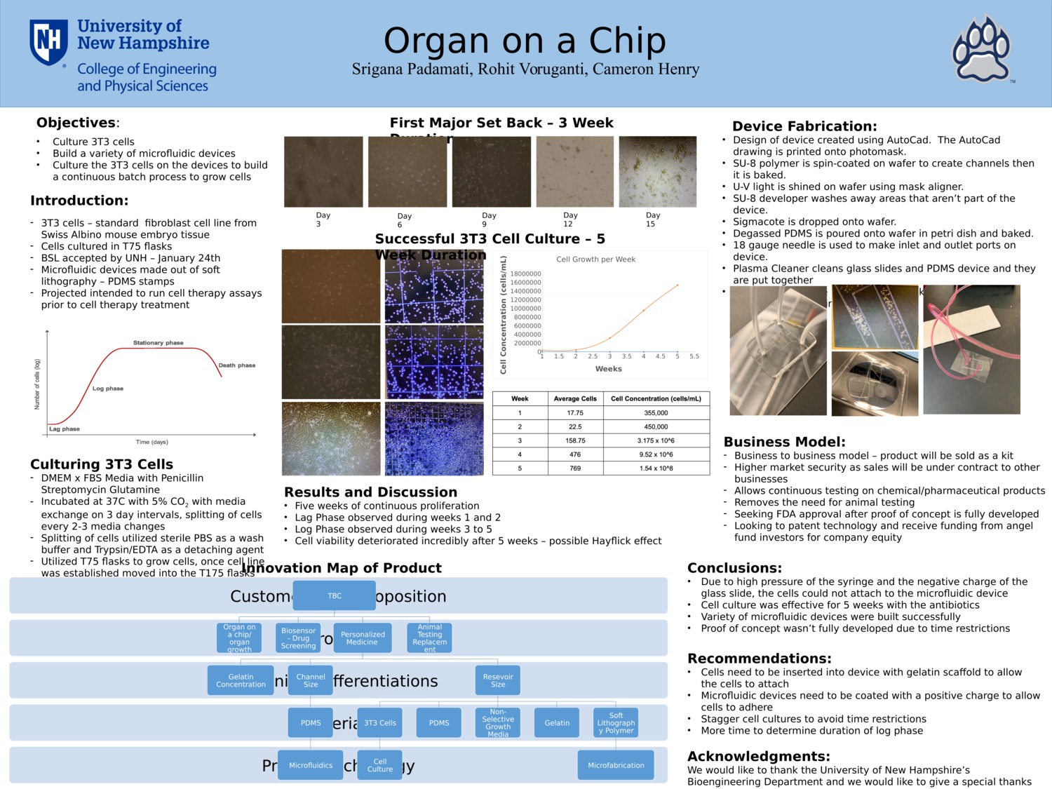 Organ On A Chip by srp1000