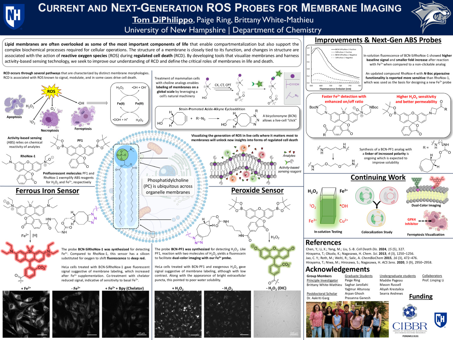 Current And Next-Generation Ros Probes For Membrane Imaging by ted1020
