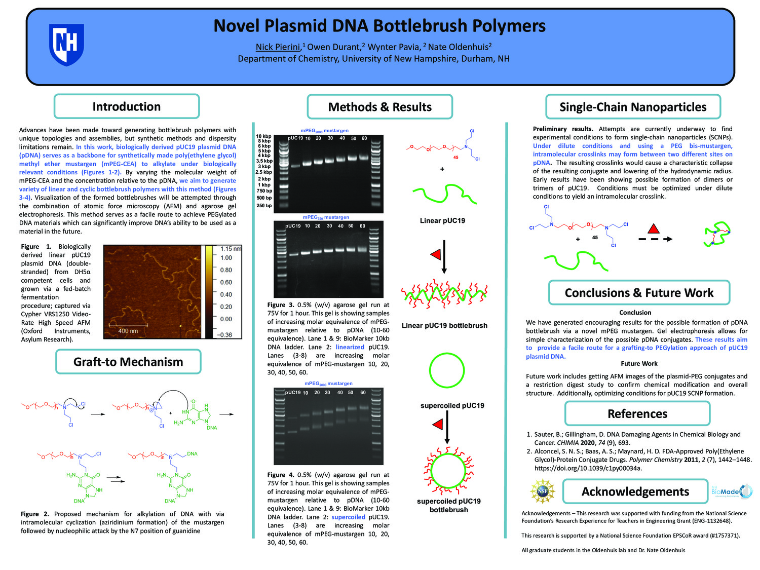 Novel Plasmid Dna Bottlebrush Polymers by np1099