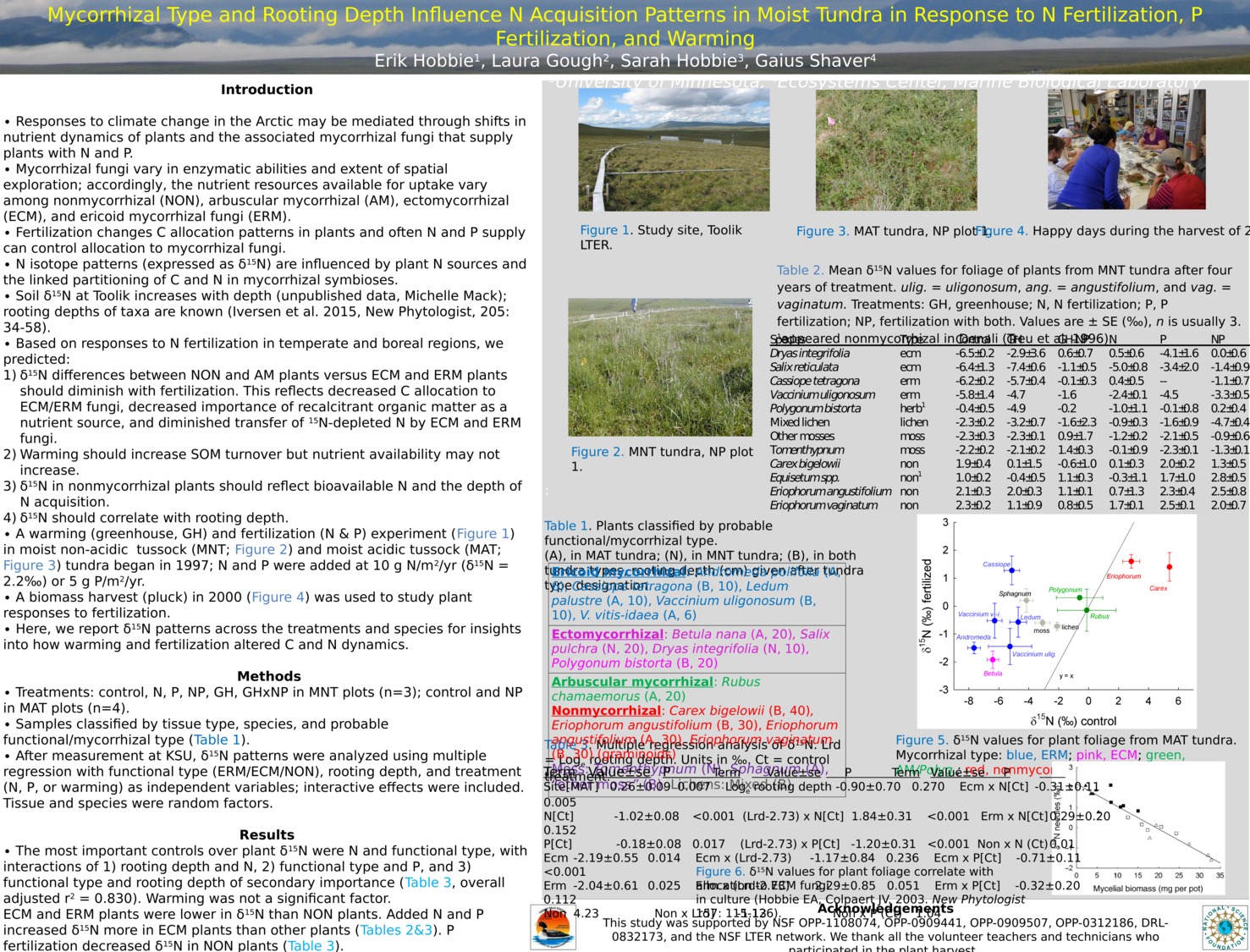 Mycorrhizal Type And Rooting Depth Influence N Acquisition Patterns In Moist Tundra In Response To N Fertilization, P Fertilization, And Warming by ErikHobbie