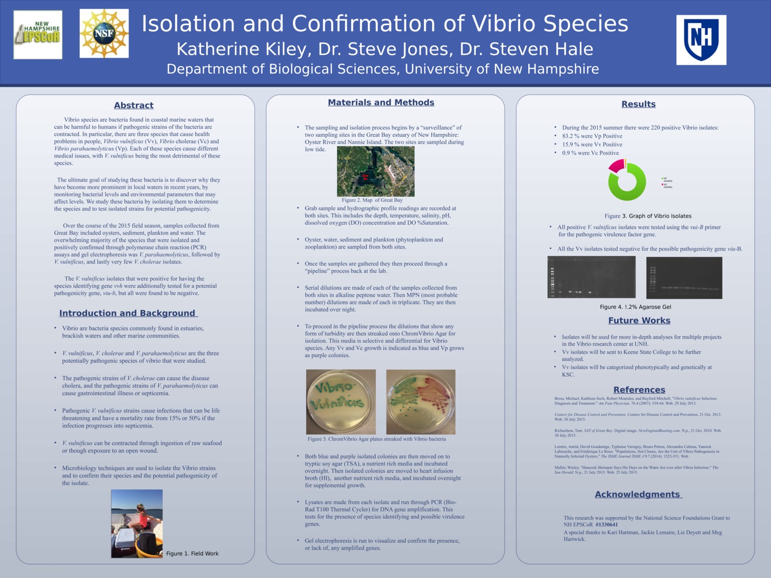 Isolation And Confirmation Of Vibrio Species by kakk1202