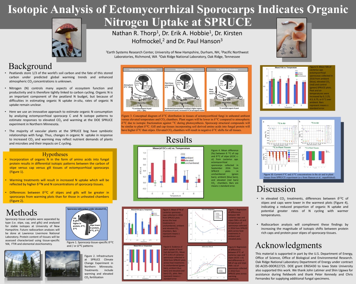 Isotopic Analysis Of Ectomycorrhizal Sporocarps Indicates Organic Nitrogen Uptake At Spruce  by nthorp