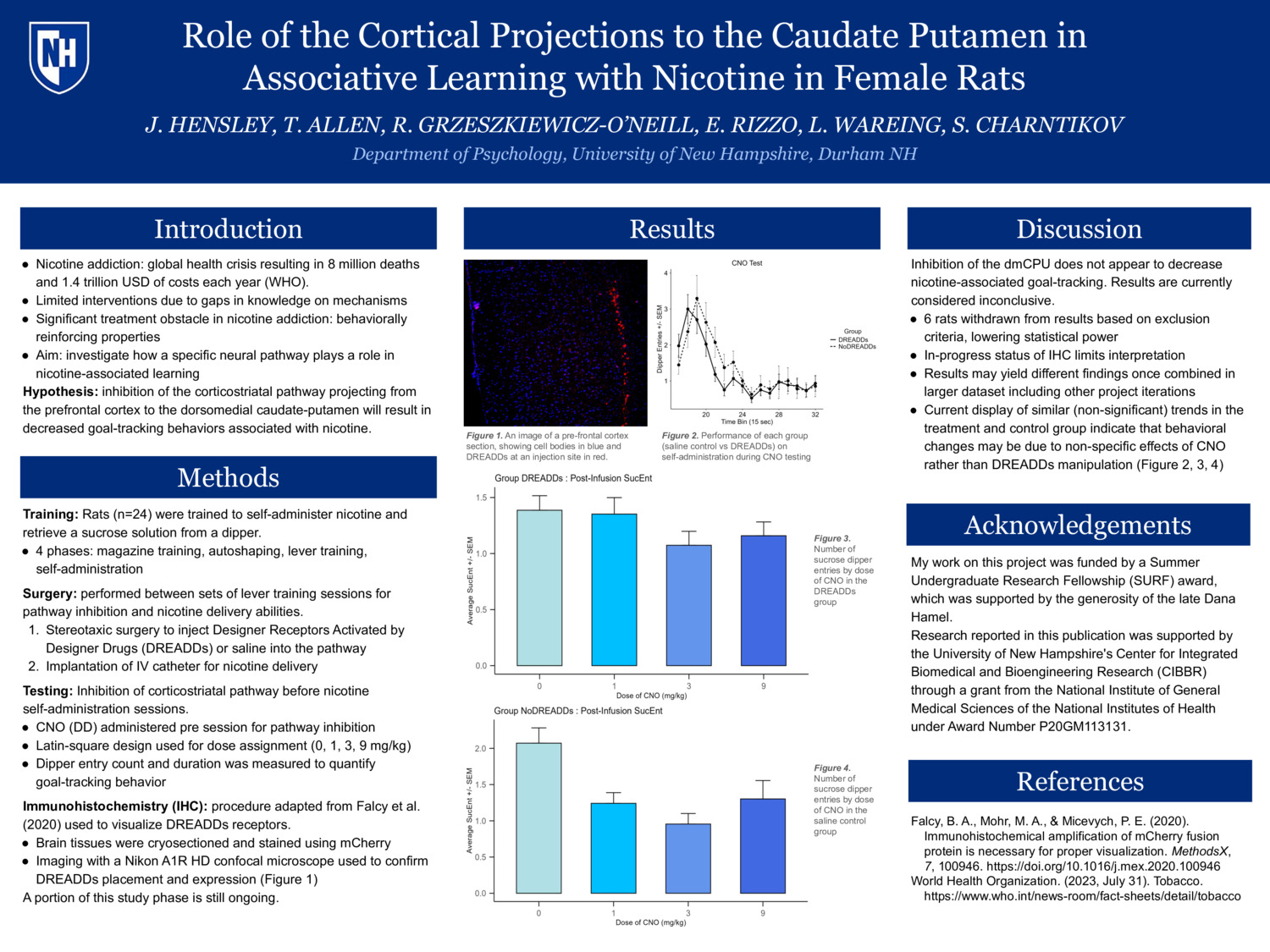 Role Of The Cortical Projections To The Caudate Putamen In Associative Learning With Nicotine In Female Rats by RowanGrzO