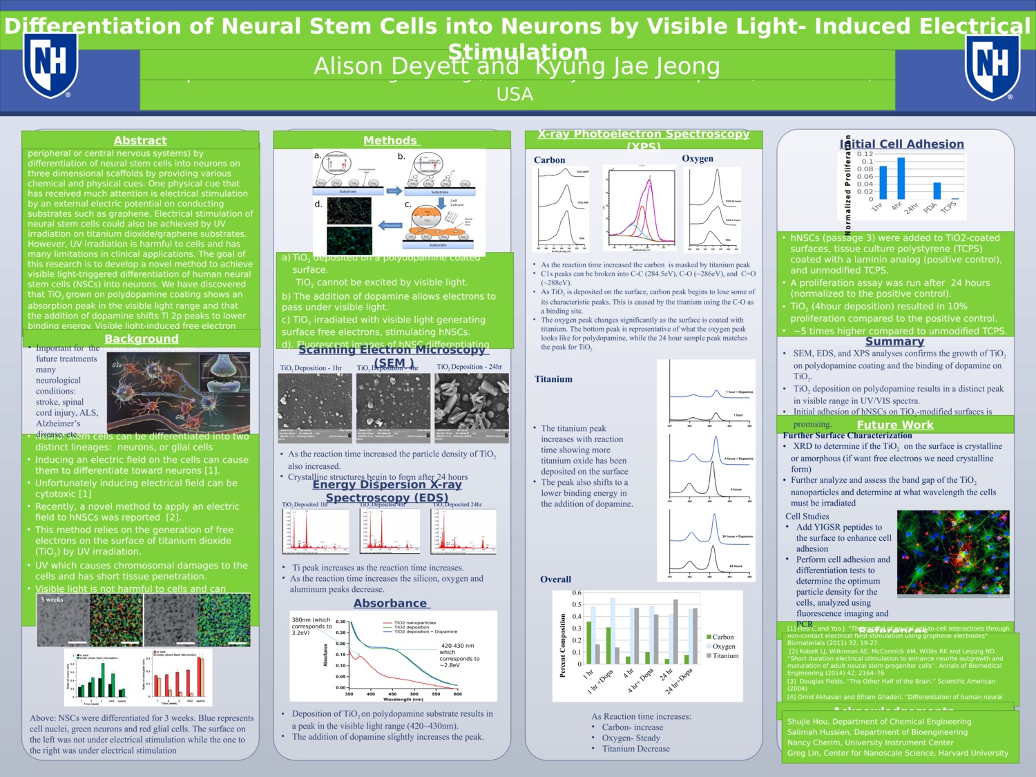 Differentiation Of Neural Stem Cells Into Neurons By Visible Light‐ Induced Electrical Stimulation by aad11