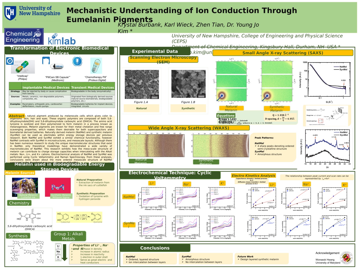 Mechanistic Understanding Of Ion Conduction Through Eumelanin Pigments by karlwieck