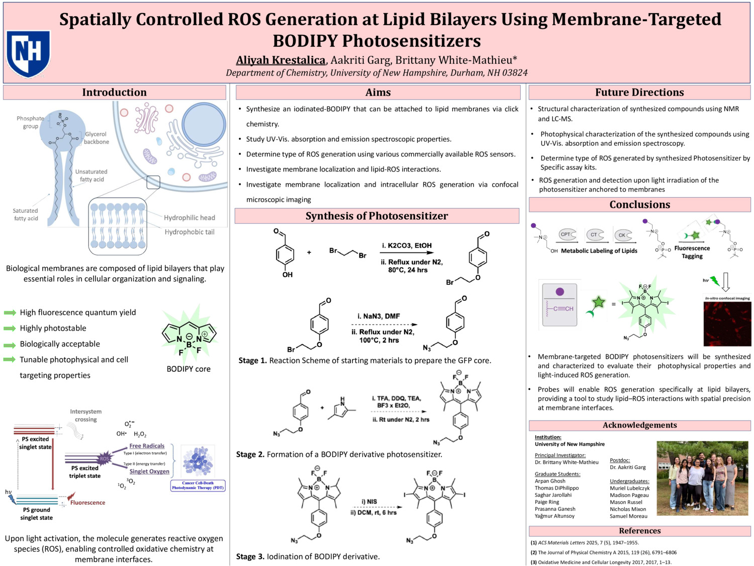 Spatially Controlled Ros Generation At Lipid Bilayers Using Membrane-Targeted Bodipy Photosensitizers by ajk1150