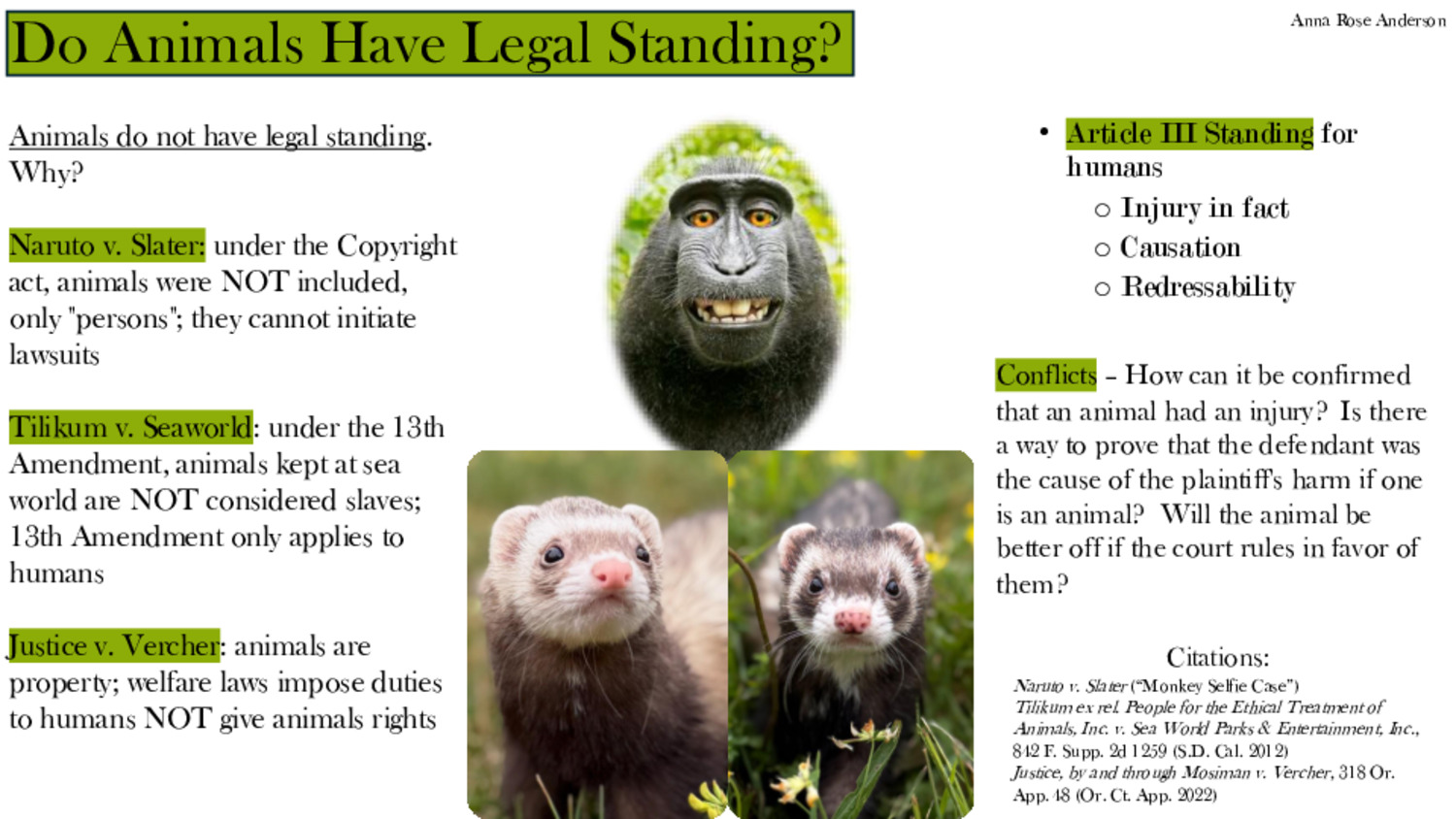 Do Animals Have Legal Standing? by ara1106