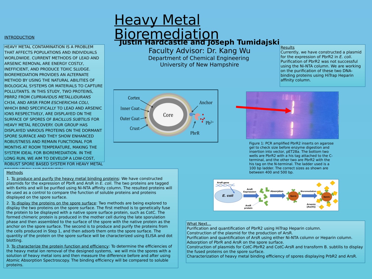 Bioremediation Of Heavy Metals by jth1025