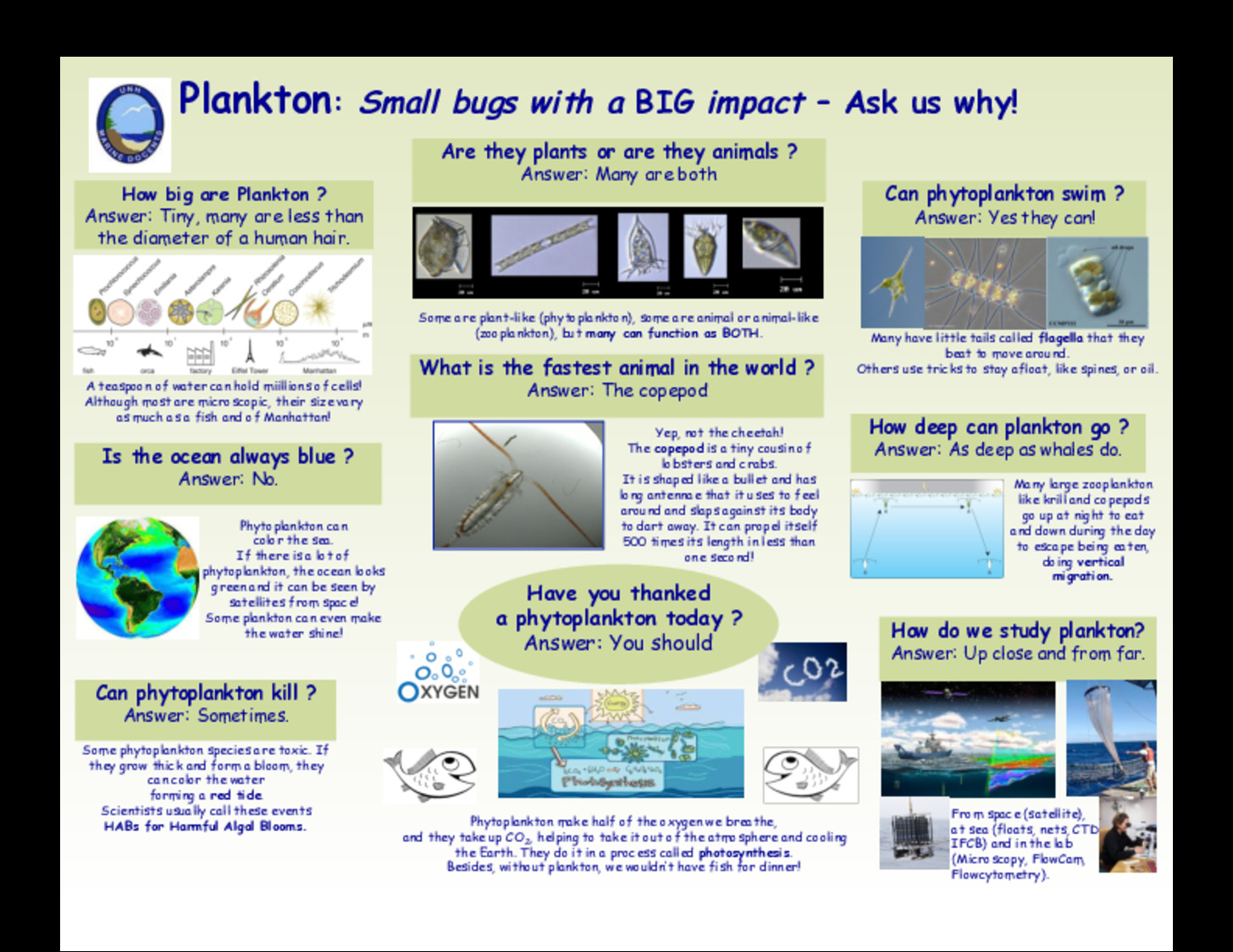 Odd Plankton Poster by jnw1016