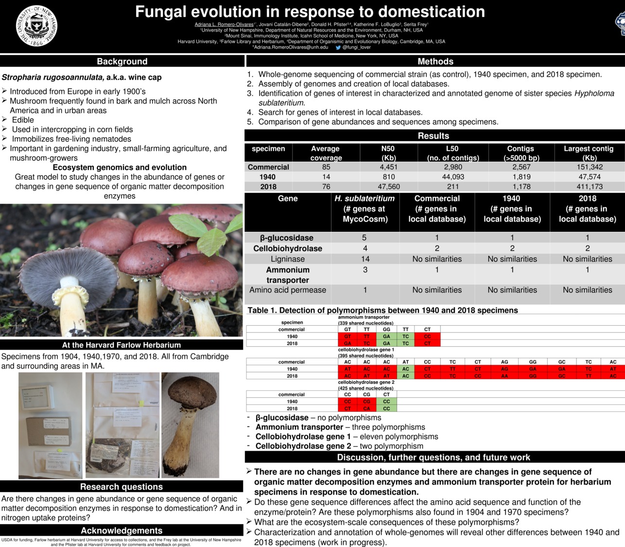 Fungal Evolution In Response To Domestication  by adrilu